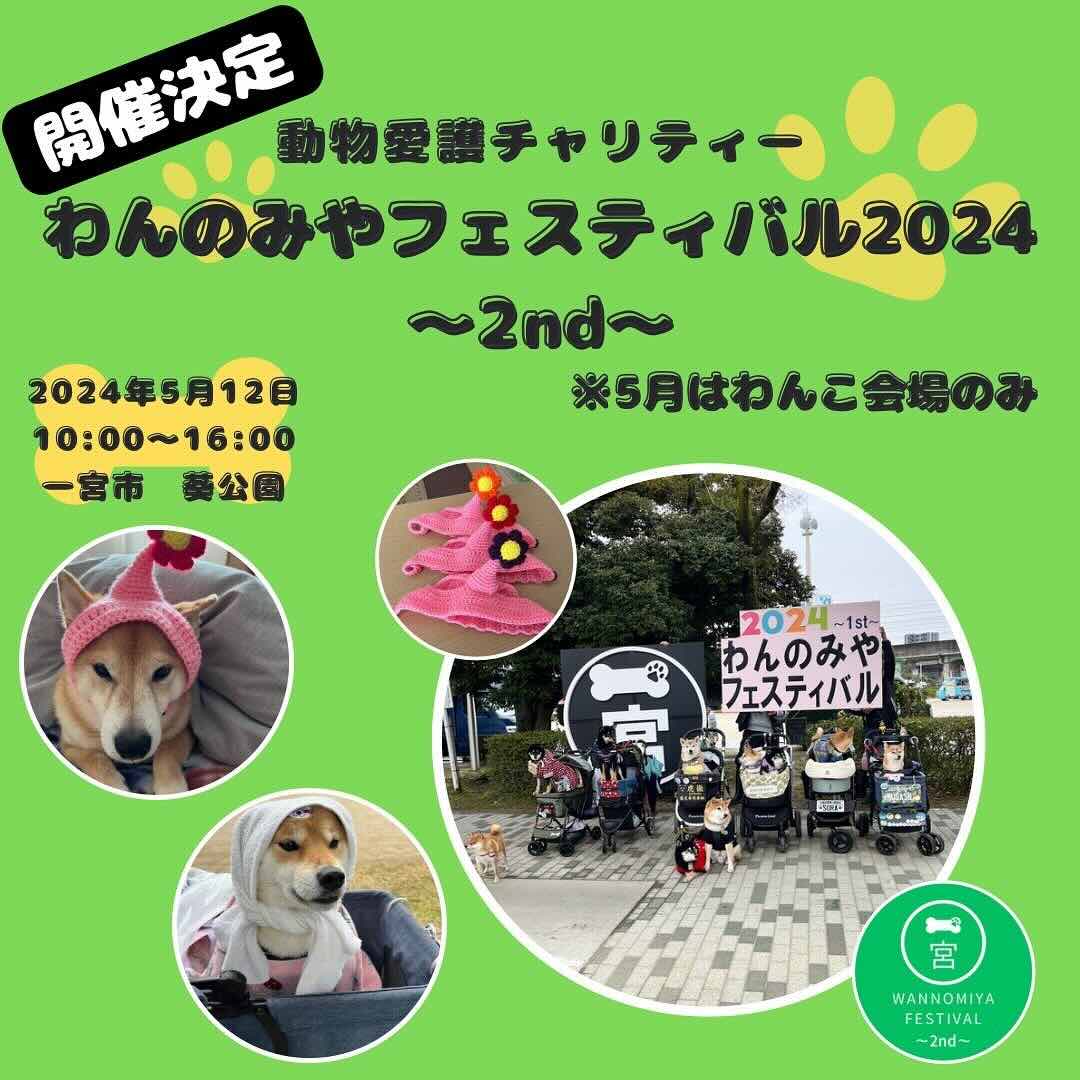 わんのみやフェスティバル2024 -2nd-の画像