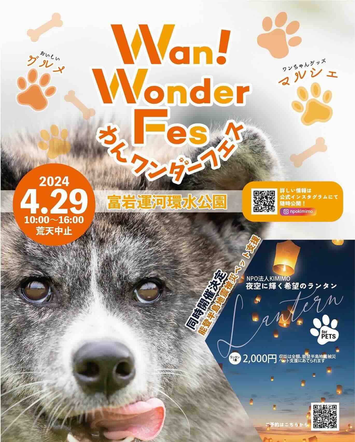 わんワンダーフェス富山市環水公園の画像