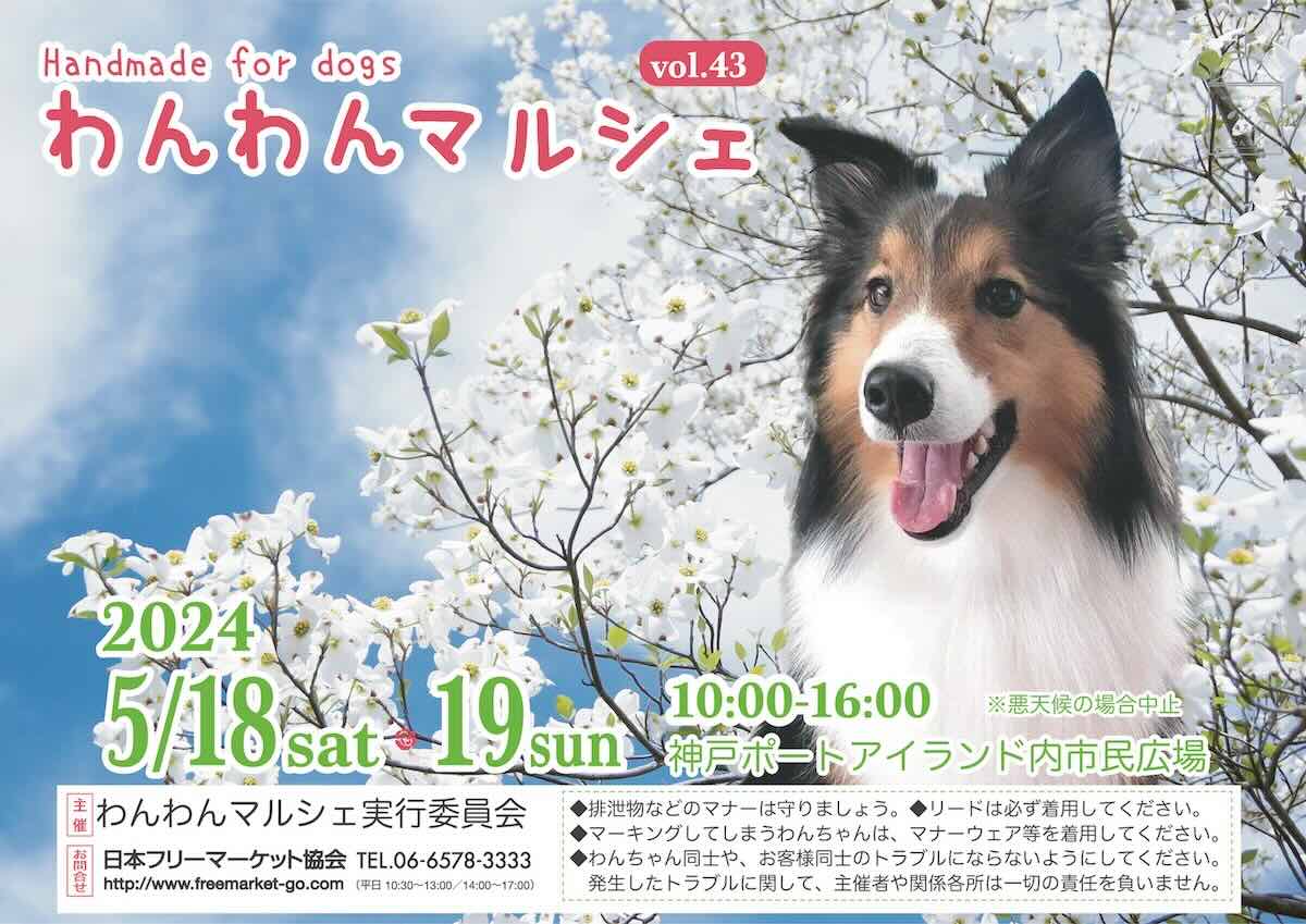 わんわんマルシェ vol.43の画像