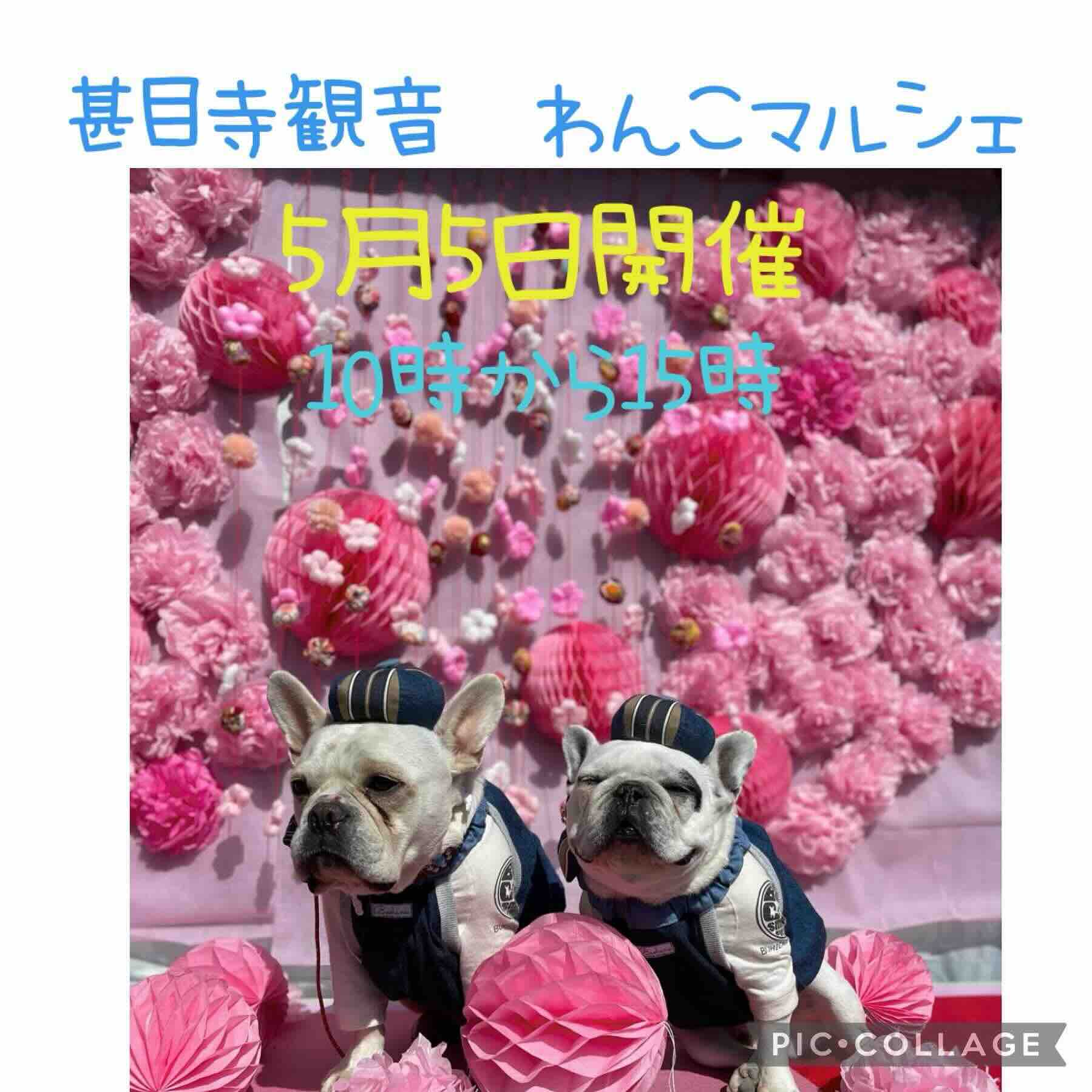 甚目寺観音わんこマルシェの画像