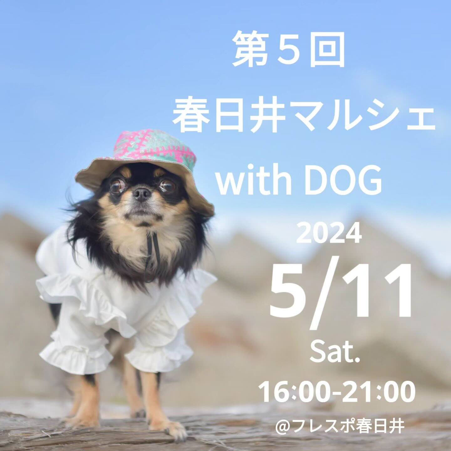第5回 春日井マルシェ with DOGの画像