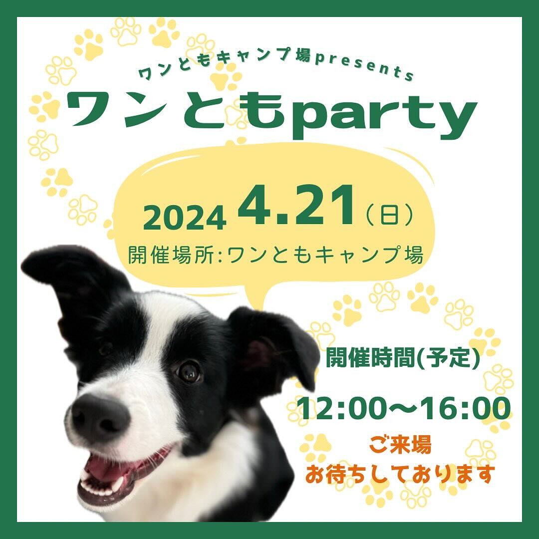 ワンともpartyの画像