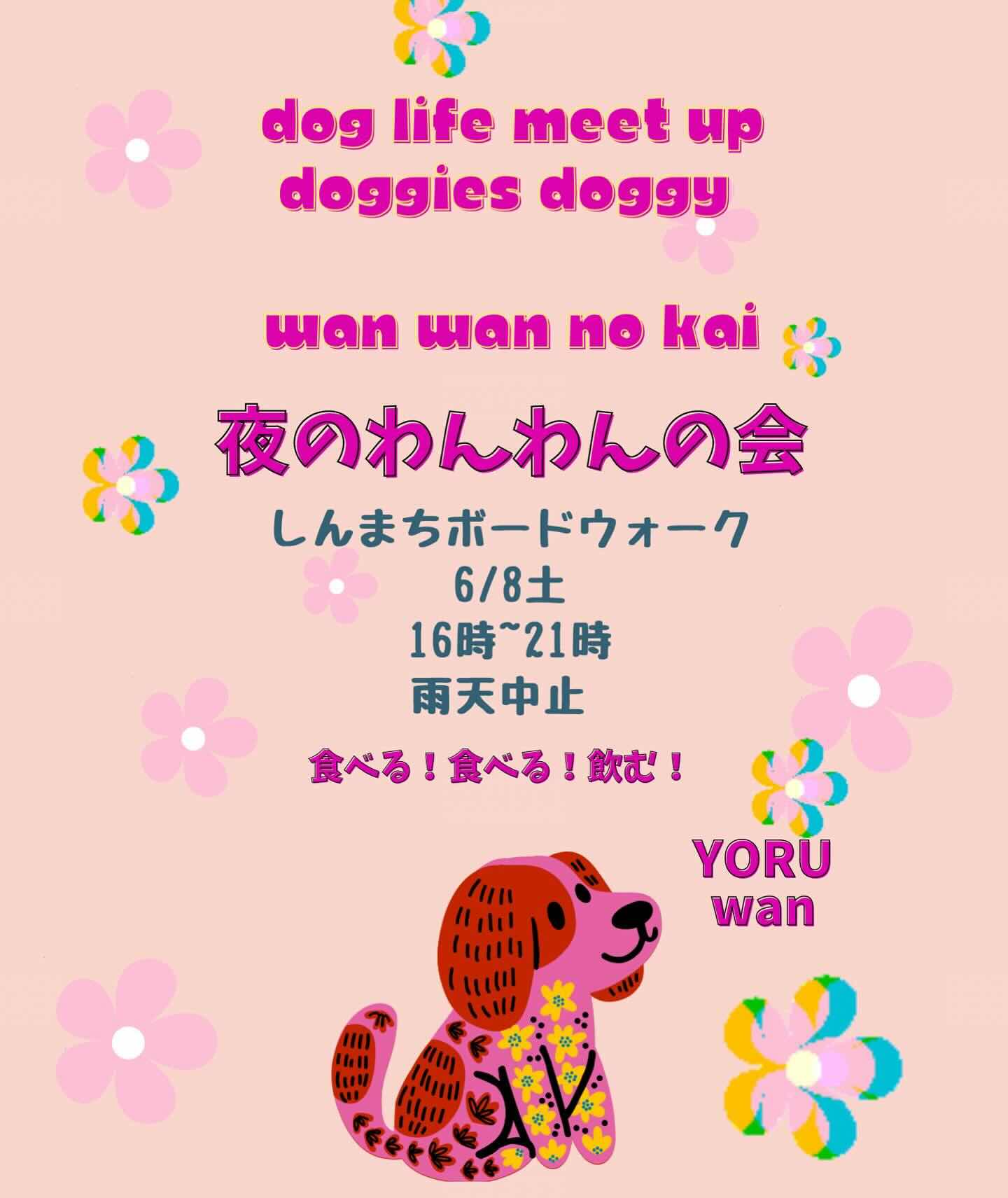 夜のわんわんの会の画像