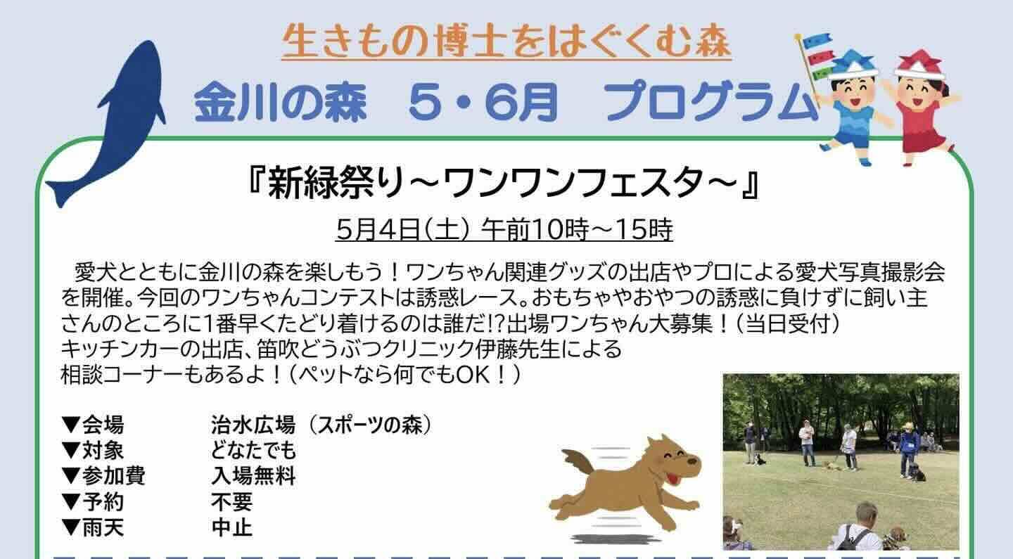 新緑祭り~ワンワンフェスタ~の画像