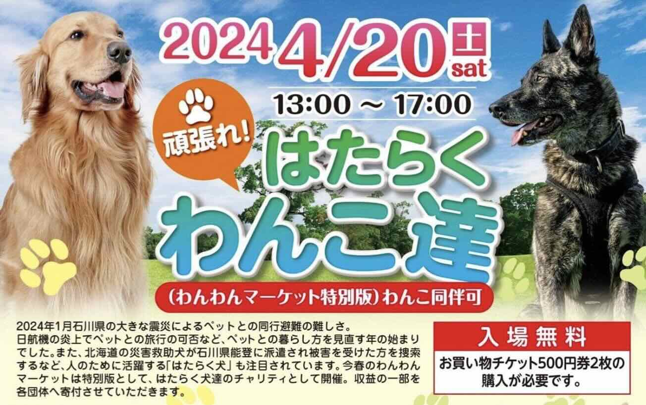 頑張れ!はたらくわんこ達 わんわんマーケット特別版の画像