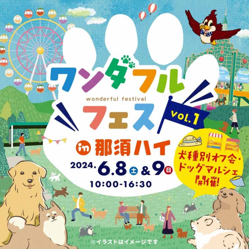 ワンダフルフェスVOL.1の画像