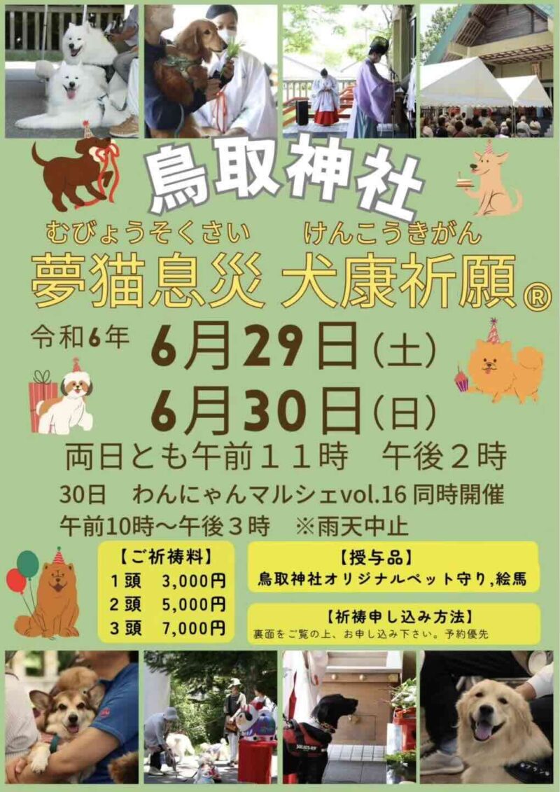 夢猫息災 犬康祈願、わんにゃんマルシェ vol.16の画像