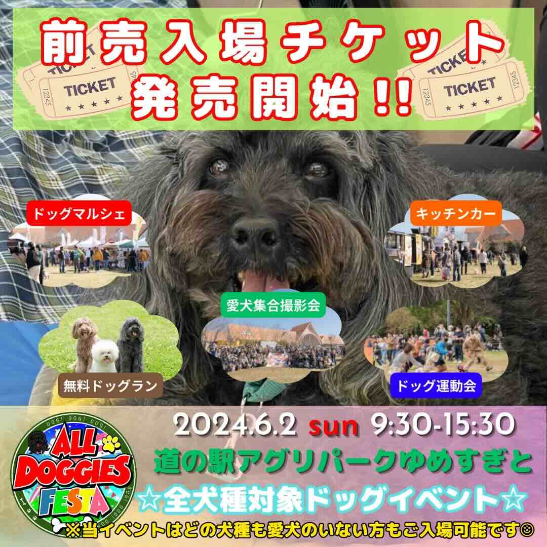 ALL DOGGIES FESTA at アグリパークゆめすぎとの画像