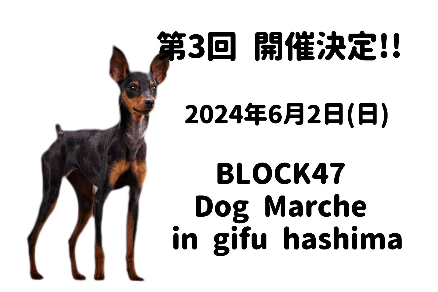 第3回 BLOCK47 ドッグマルシェin岐阜羽島の画像