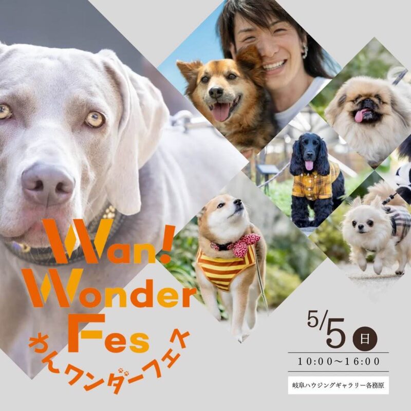 わんワンダーフェスの画像