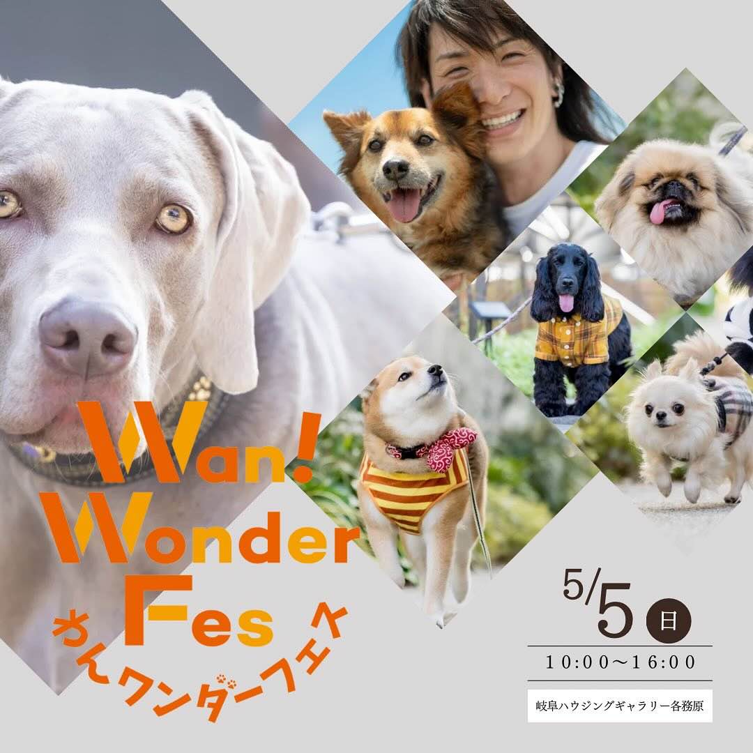 わんワンダーフェスの画像