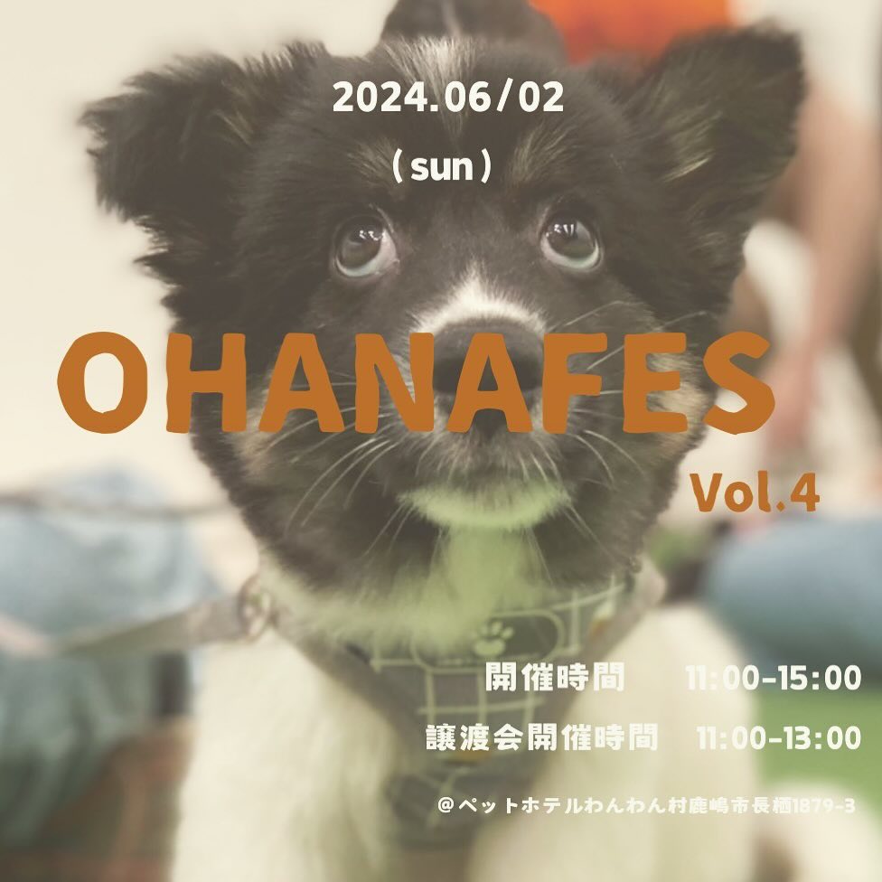OHANA FES vol.4の画像