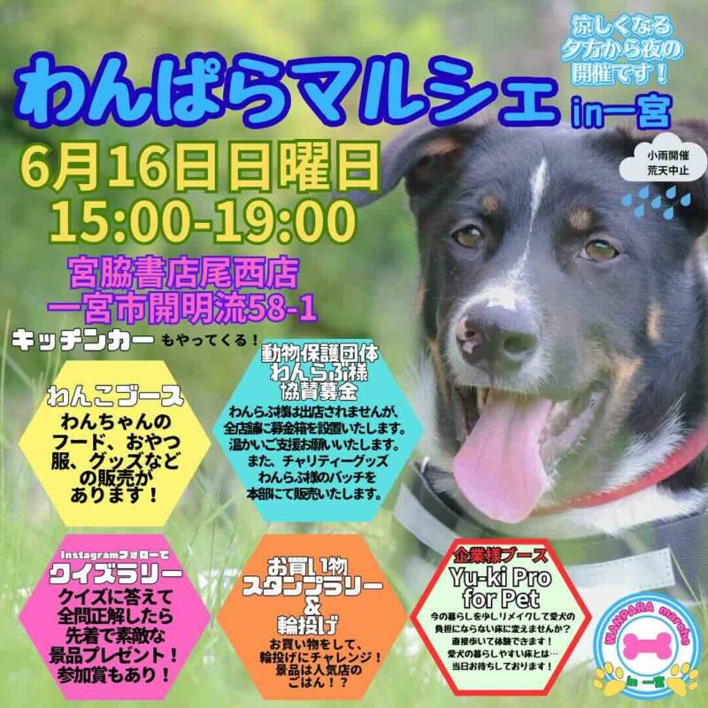 ワンぱらマルシェ in 一宮の画像