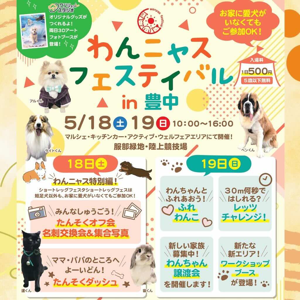 わんニャスフェスティバル in 豊中の画像