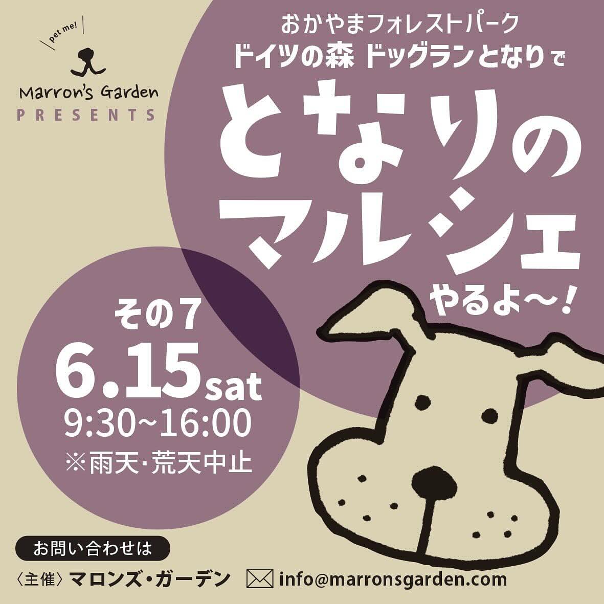 となりのマルシェ その7の画像