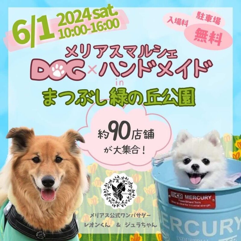 メリアスDOG ×ハンドメイドマルシェの画像