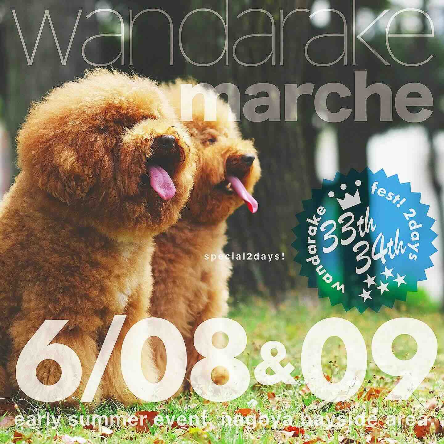 wandarake fest ! 33 & 34(わんだらけフェス)の画像