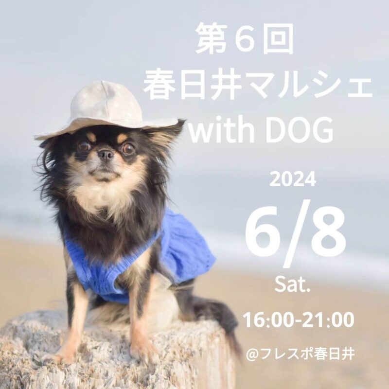 第6回 春日井マルシェ with DOGの画像
