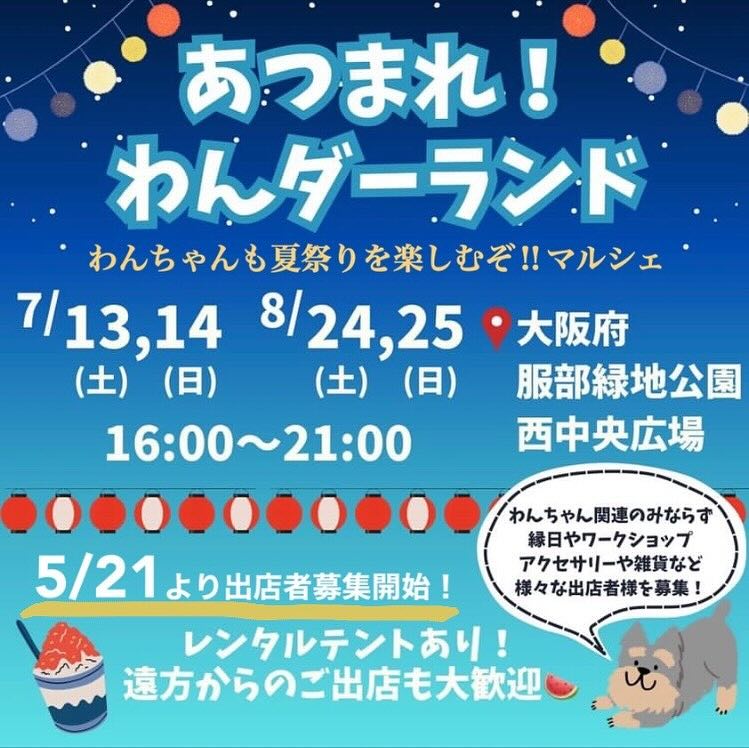 あつまれ！わんダーランドの画像