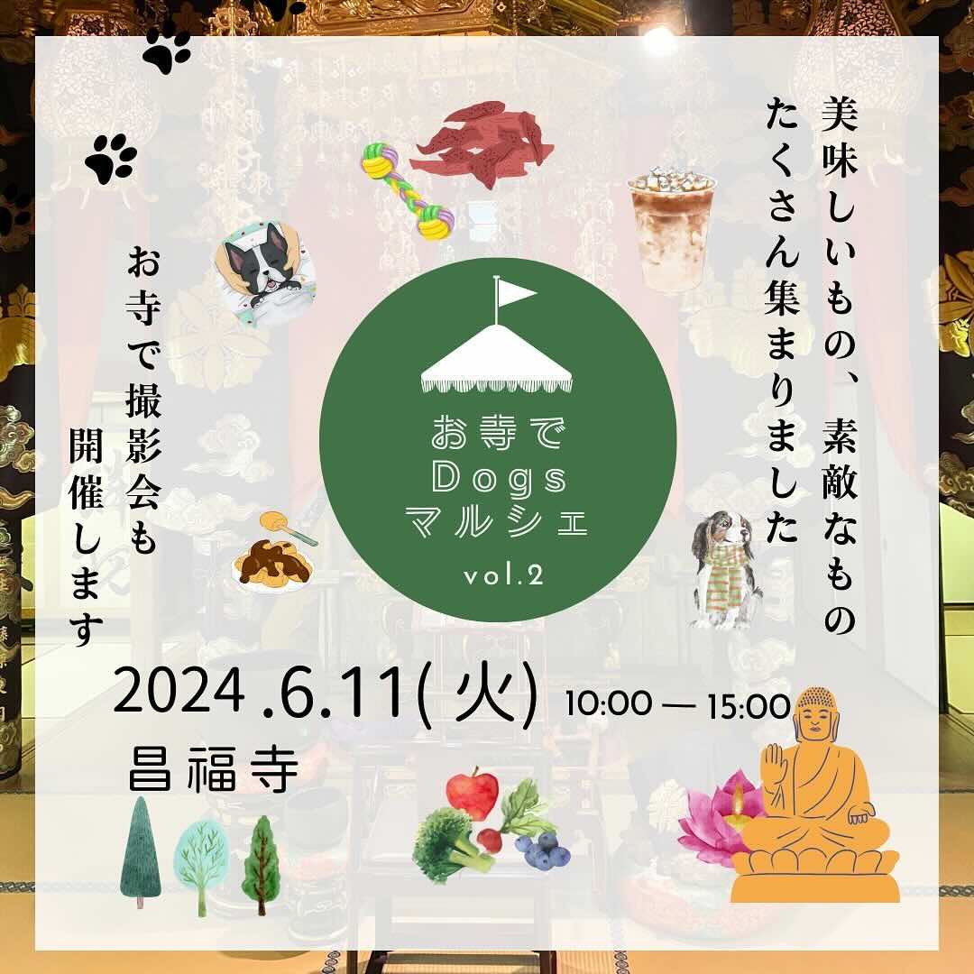 第2回 お寺でマルシェ in 昌福寺の画像