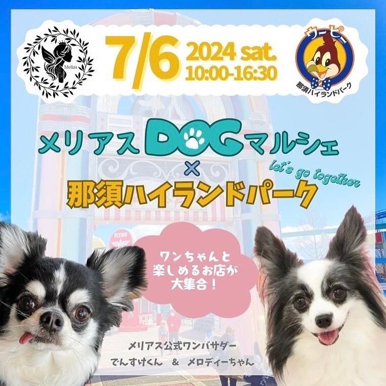 メリアスDOG in 那須ハイランドパークの画像