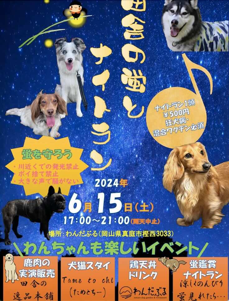 田舎の蛍とナイトランの画像