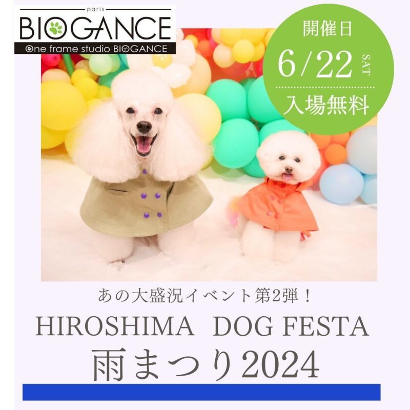 第2回 HIROSHIMA DOG FESTA 雨まつり 2024の画像