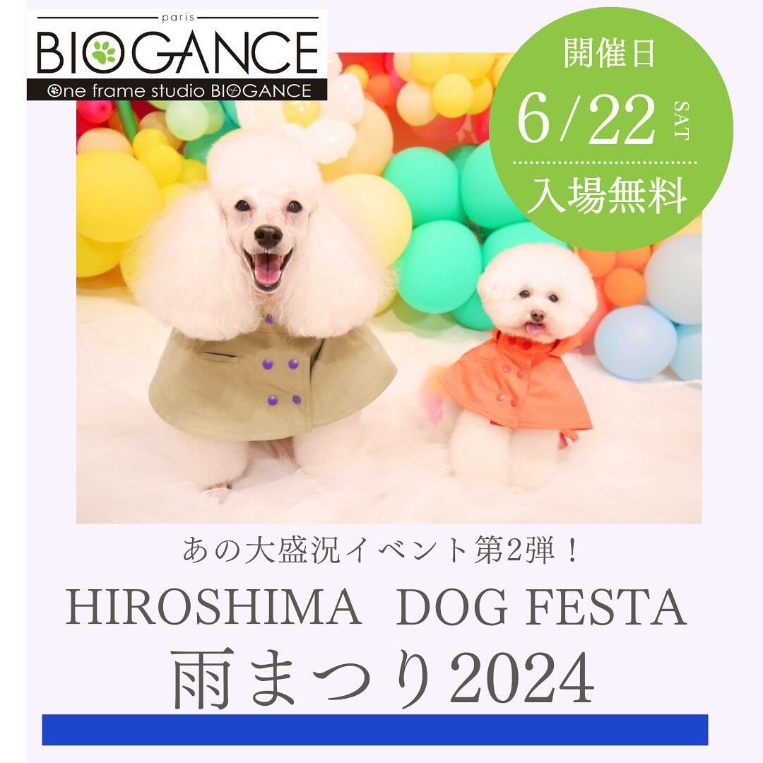 第2回 HIROSHIMA DOG FESTA 雨まつり 2024の画像