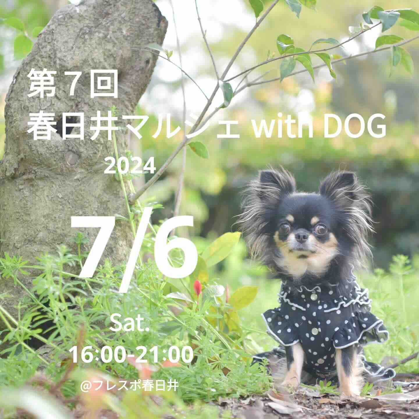 第7回 春日井マルシェ with DOGの画像
