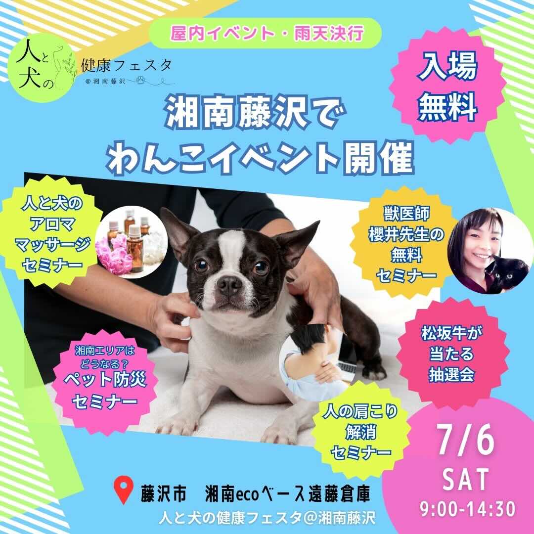 人と犬の健康フェスタ@湘南藤沢vol.2の画像