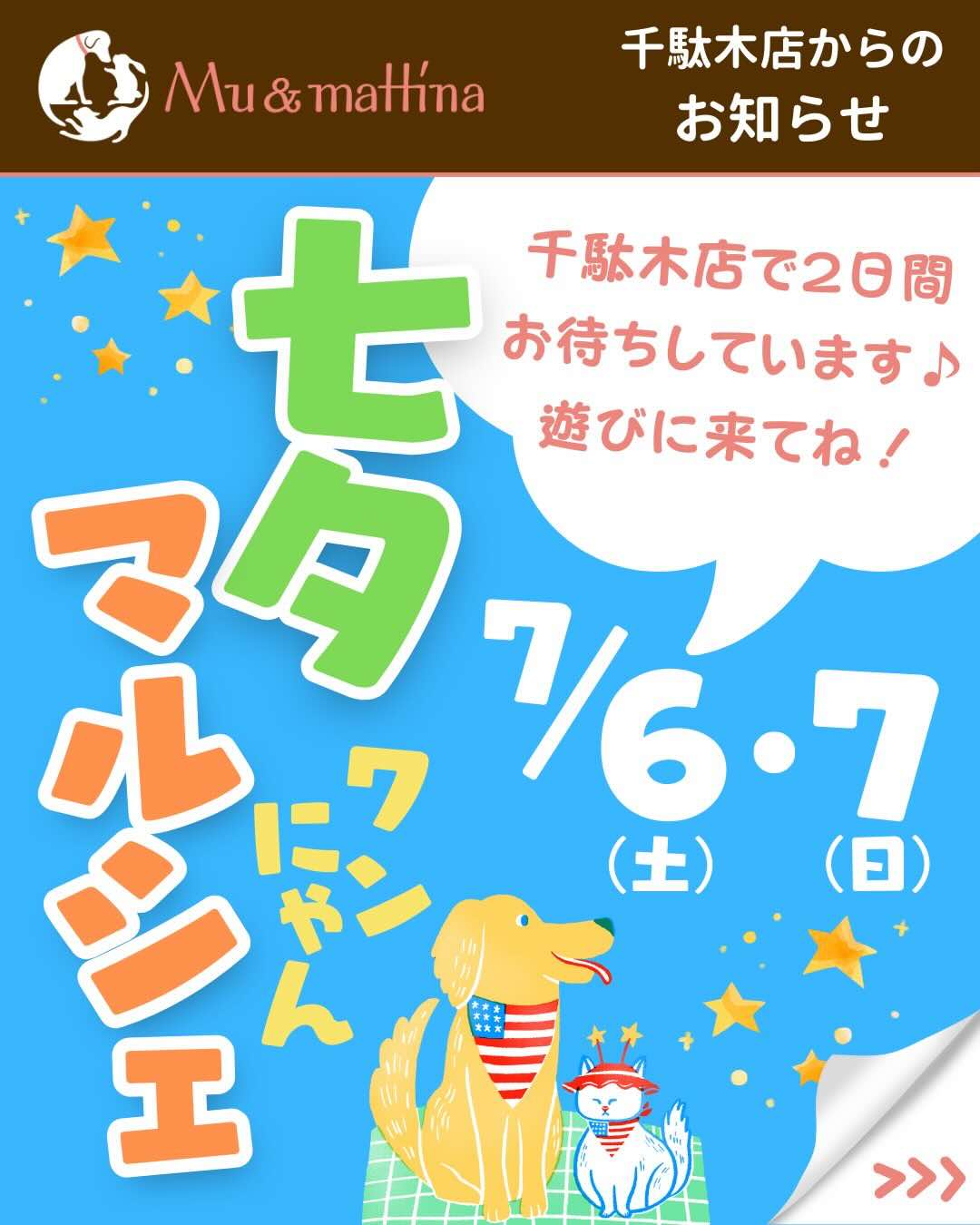 七夕ワンにゃんマルシェの画像