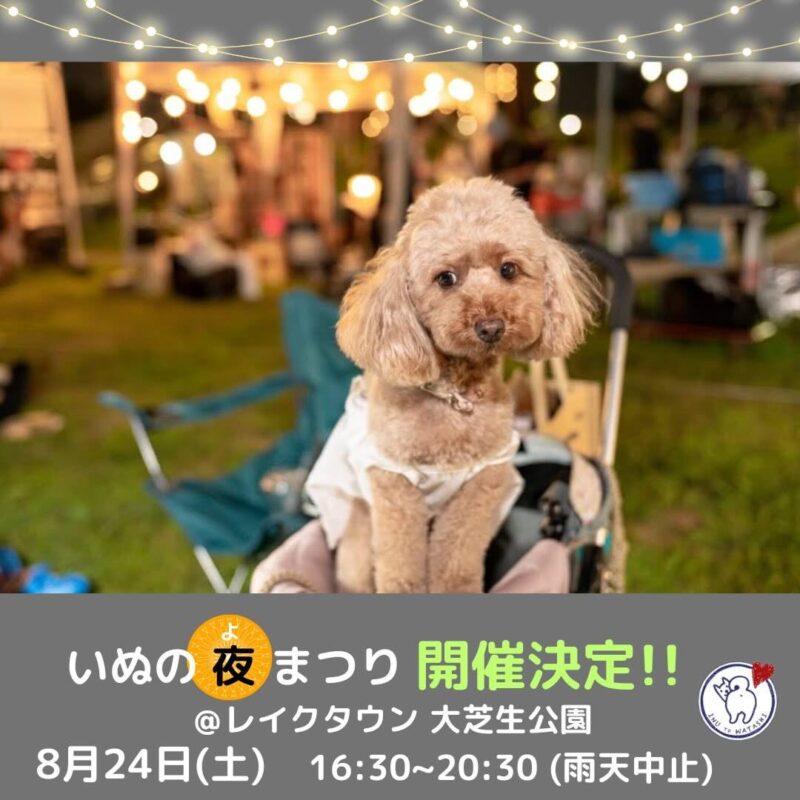 いぬの夜まつり＠レイクタウン大芝生公園の画像