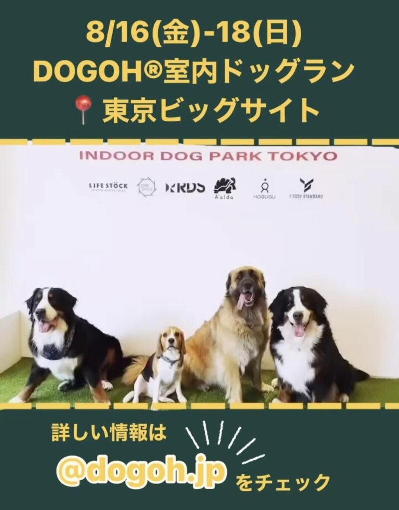 DOGOH INDOOR DOGPARK TOKYOの画像