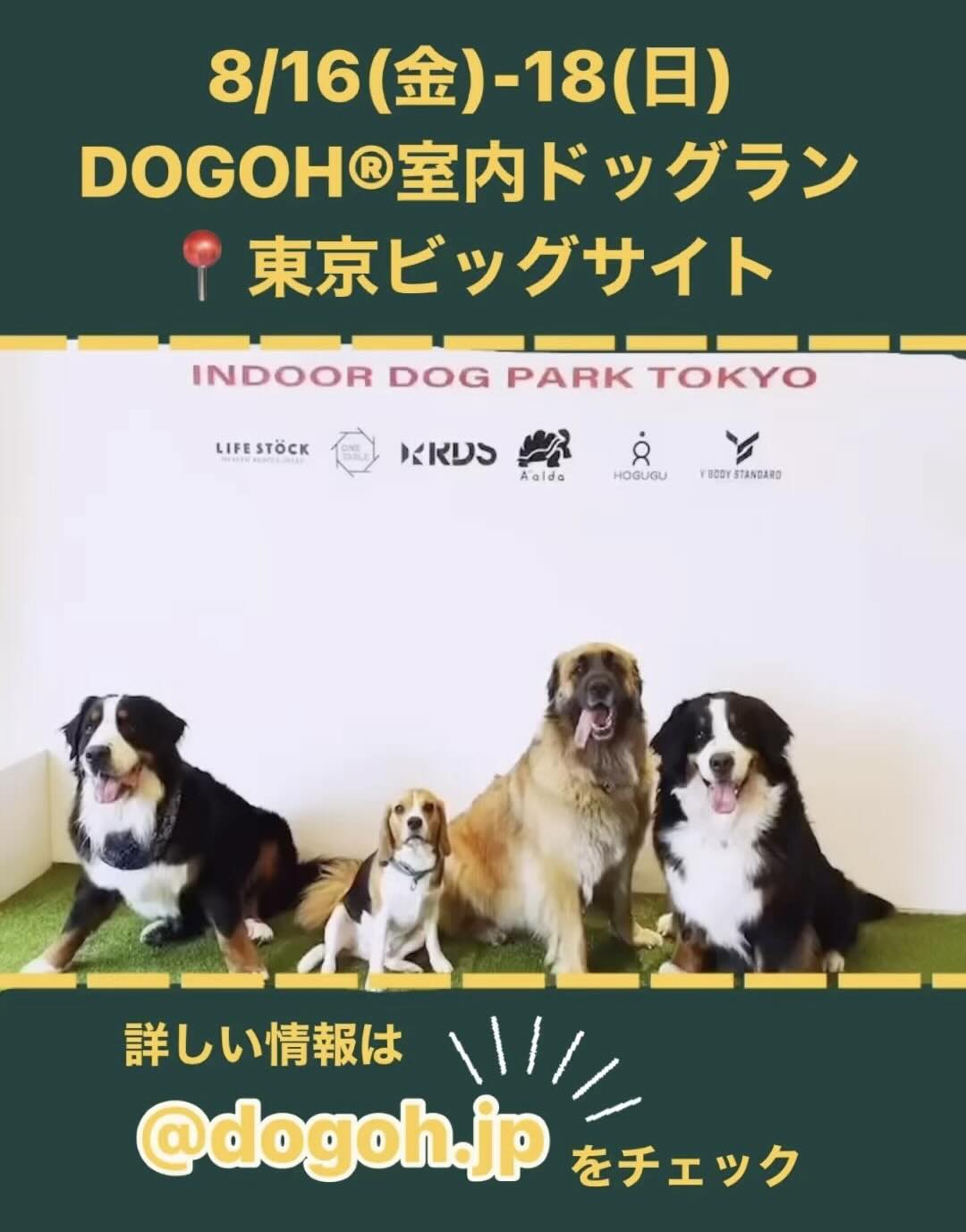 DOGOH INDOOR DOGPARK TOKYOの画像