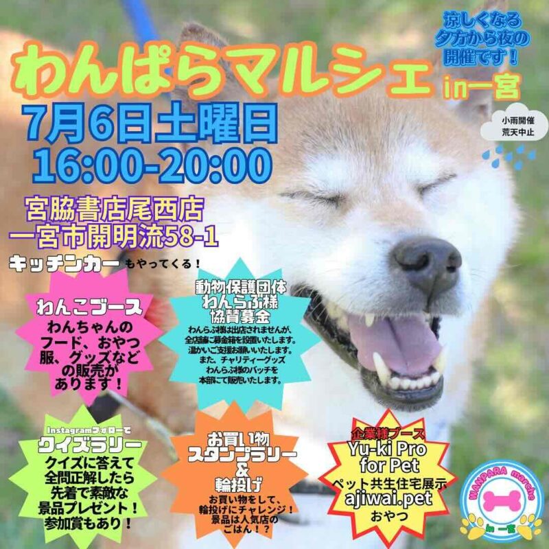 わんぱらマルシェ in 一宮の画像