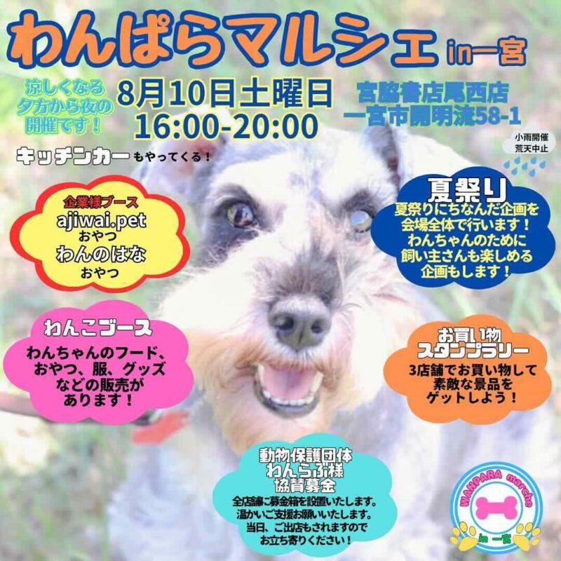 わんぱらマルシェ in 一宮の画像