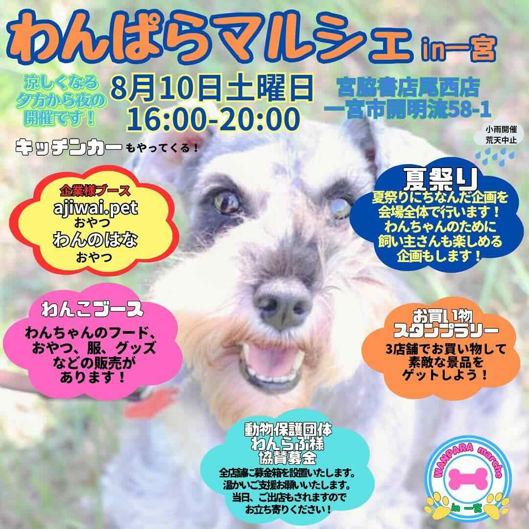 わんぱらマルシェ in 一宮の画像