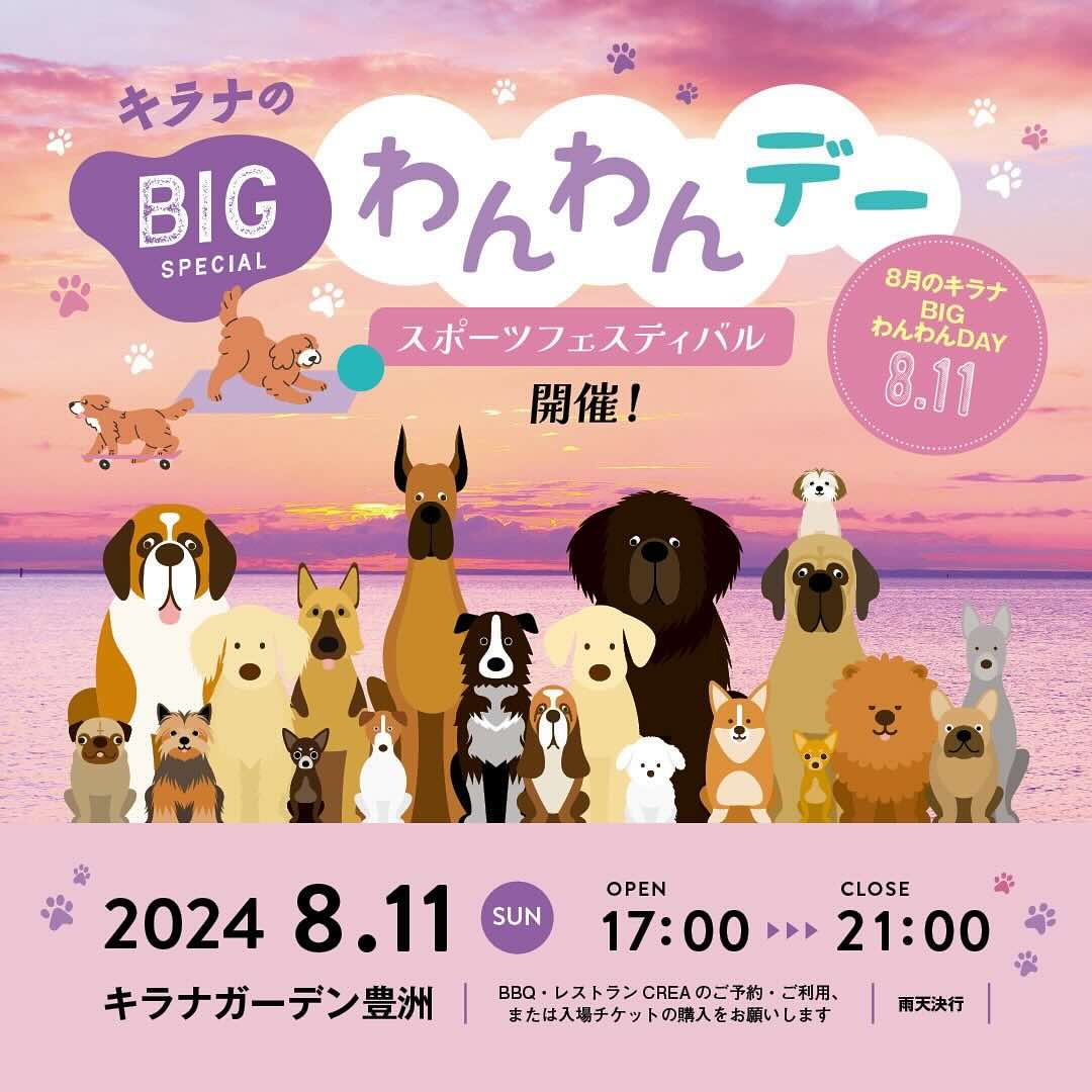 キラナBIGわんわんデーの画像