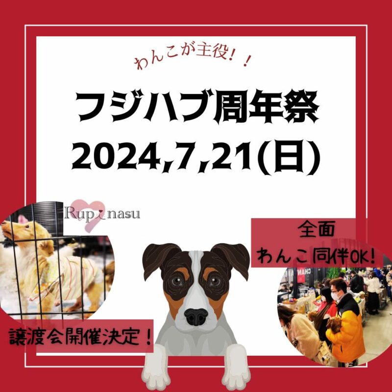 フジハブ周年祭（わんこマルシェ）の画像