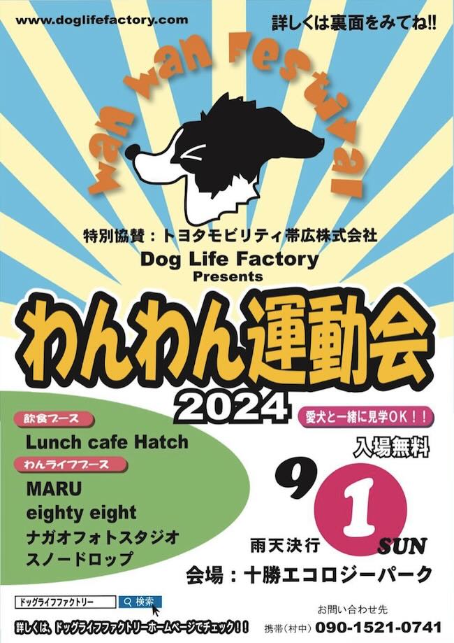 わんわん運動会 2024の画像