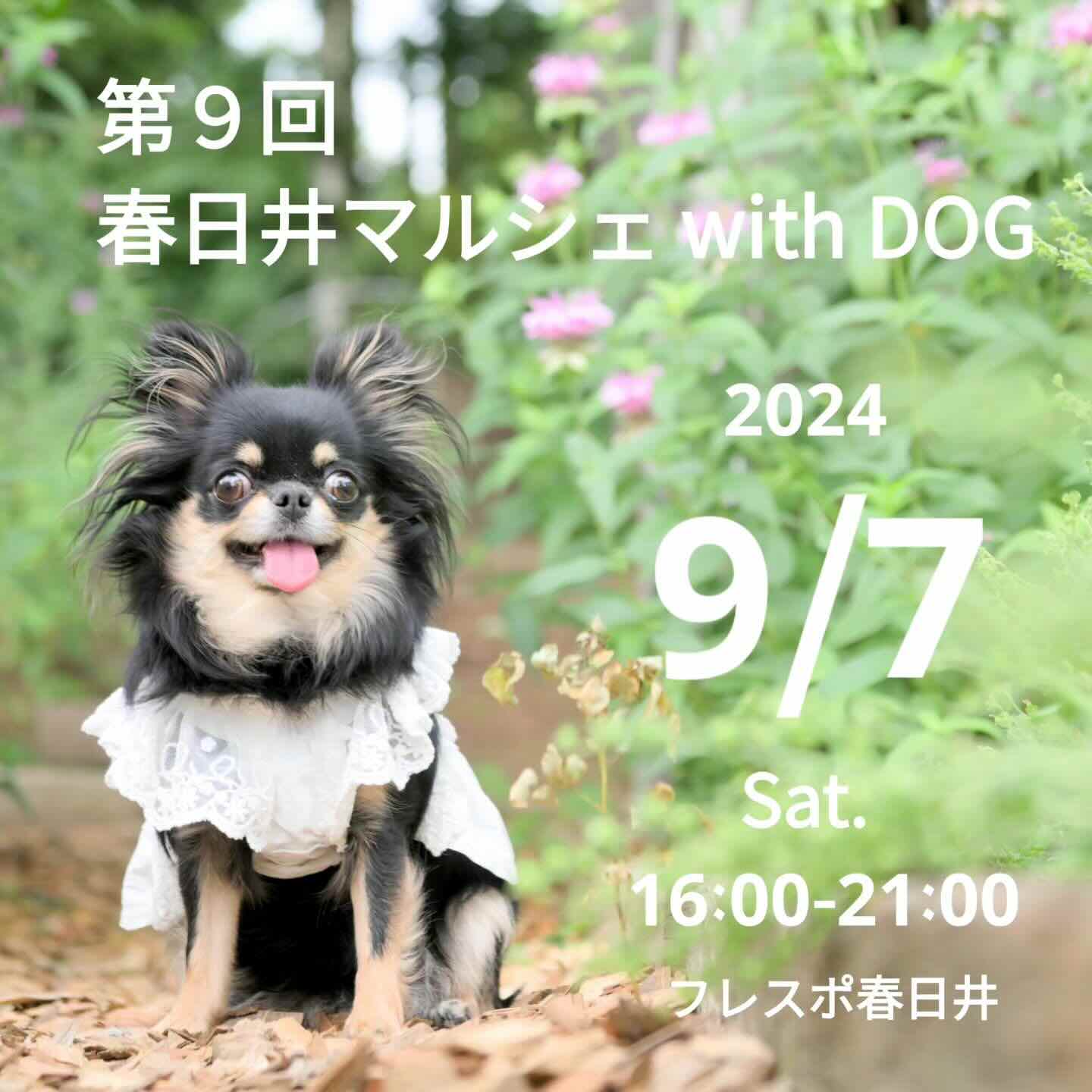 第9回 春日井マルシェ with DOGの画像