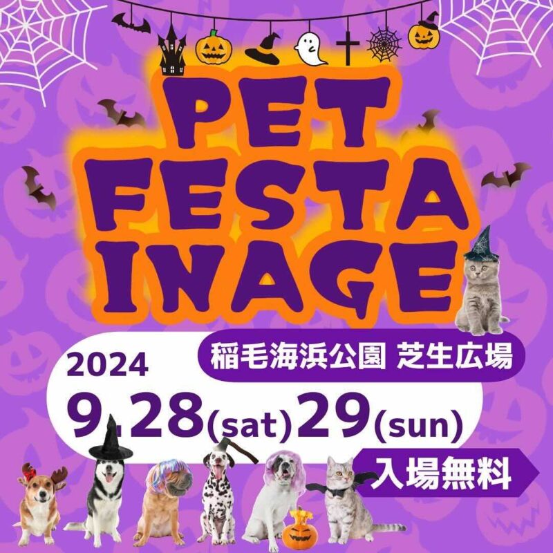 PET FESTA INAGEの画像