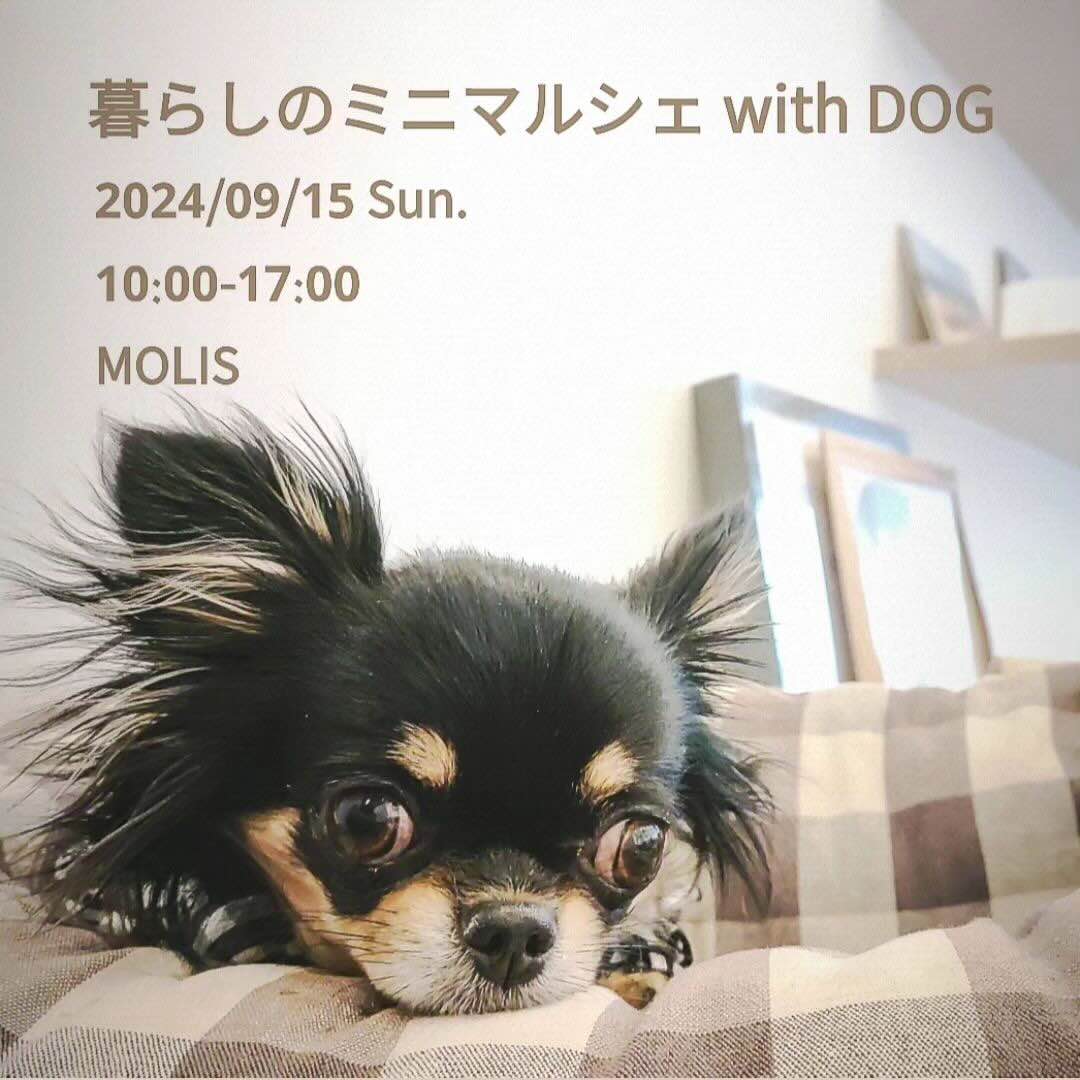 暮らしのミニマルシェ with DOGの画像
