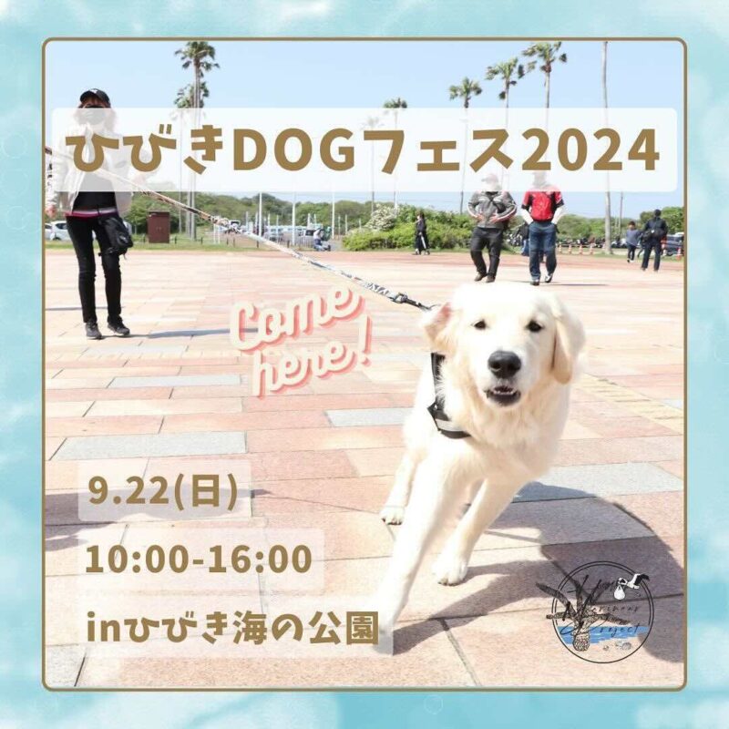 ひびきDOGフェス2024の画像