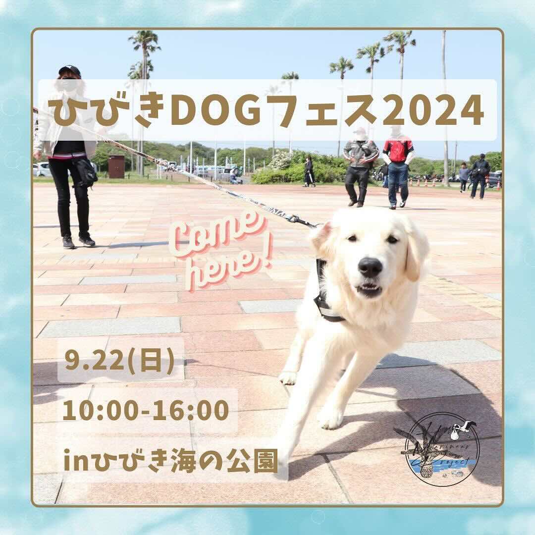 ひびきDOGフェス2024の画像