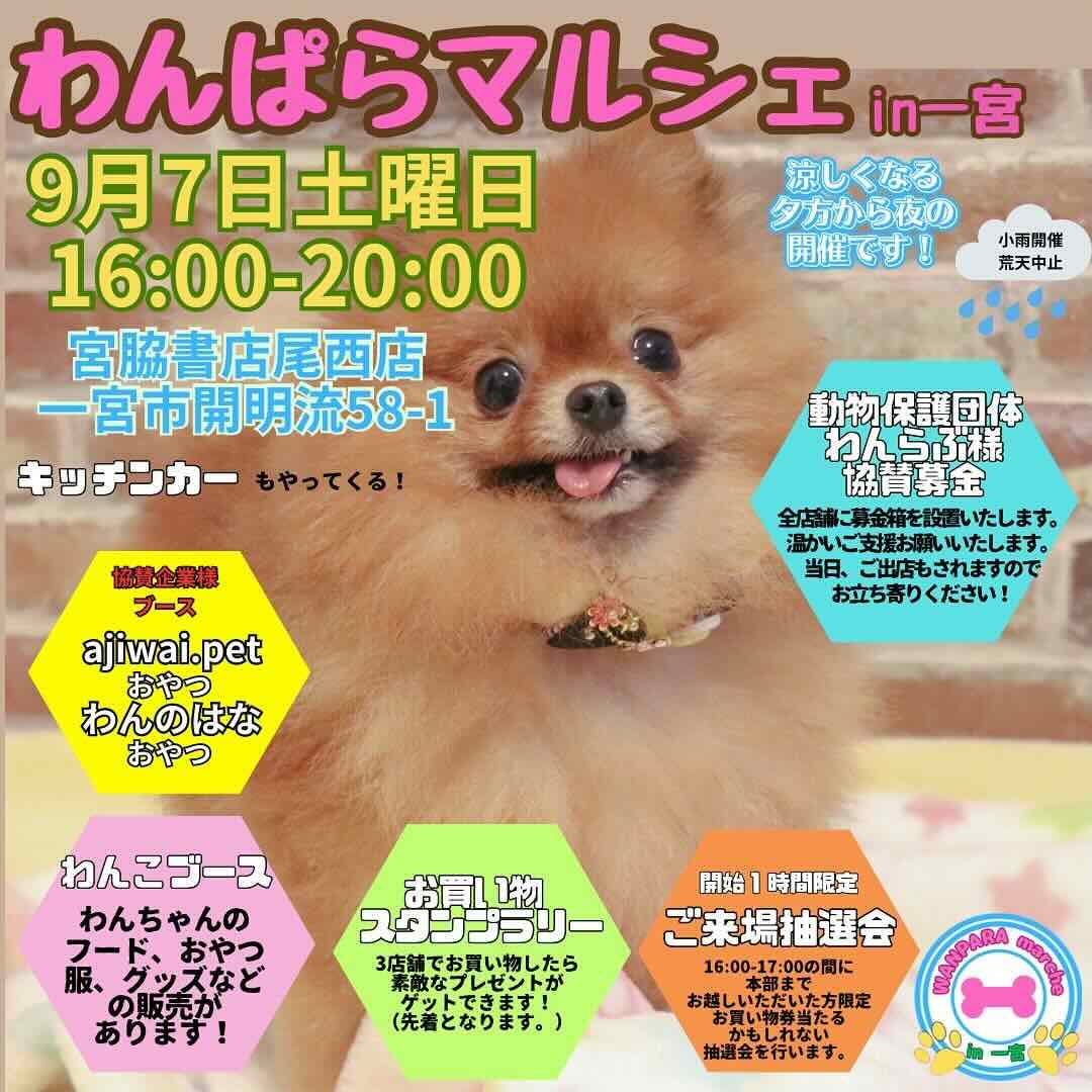 わんぱらマルシェ in 一宮の画像