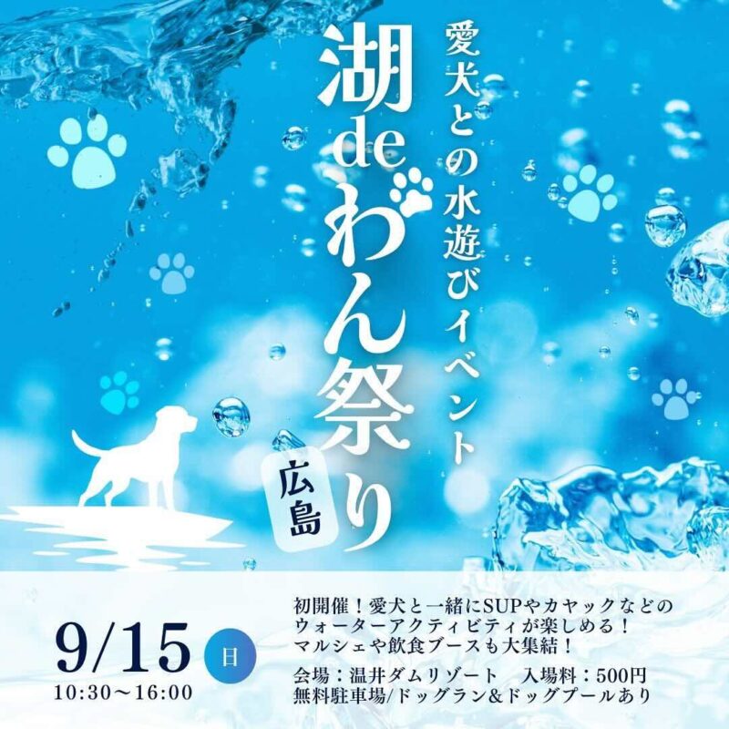 湖deわん祭りの画像