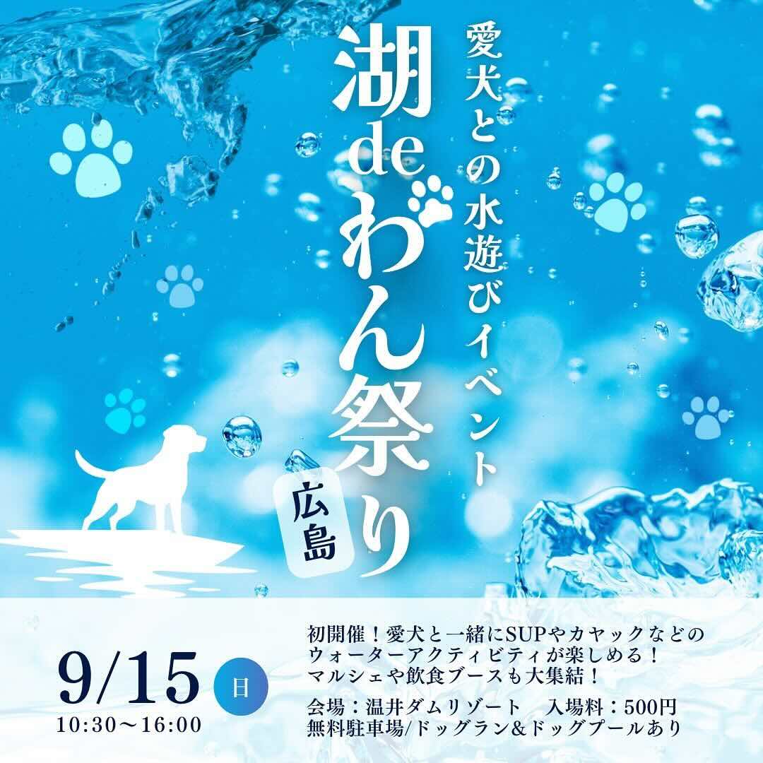 湖deわん祭りの画像