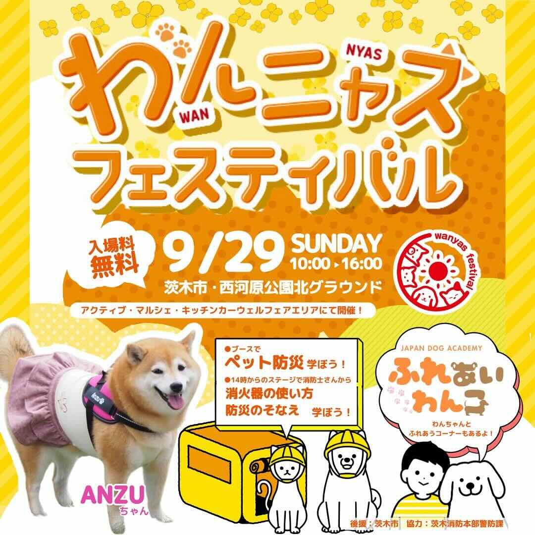 わんニャスフェスティバルin茨木の画像