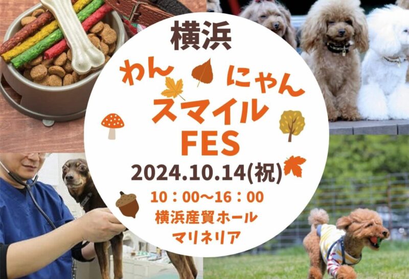 わんにゃんスマイルFES 2024・秋in横浜の画像